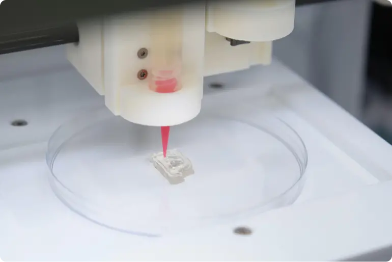 Viscoll®collagen solution for 3D bioprinting